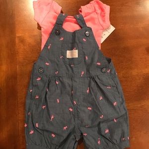 Carters Giraffe Shorts Overall Set